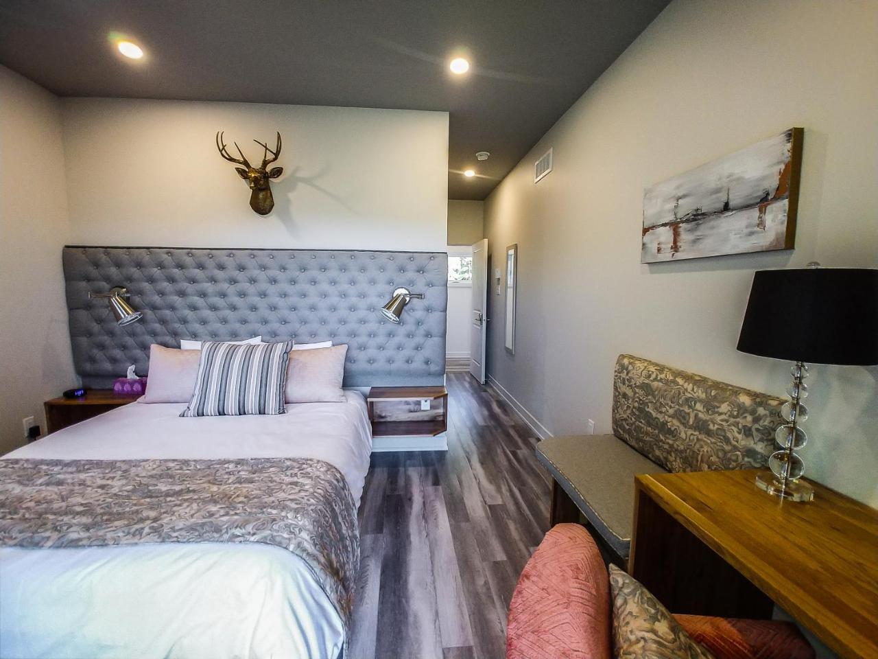 Le Bellevue Modern Lodge Wakefield Exterior foto